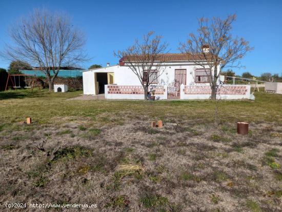 ¡¡Bonita casa en parcela de 3000 m2 a 8 minutos de Cáceres!! - CACERES