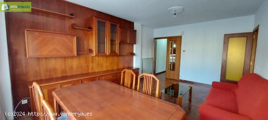 EN ALQUILER VIVIENDA DE 3 DORMITORIOS Y DOS BAÑOS EN AVDA. CASTILLA - BURGOS