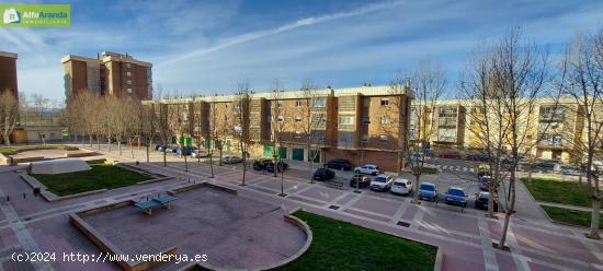 EN ALQUILER VIVIENDA DE 3 DORMITORIOS Y DOS BAÑOS EN AVDA. CASTILLA - BURGOS