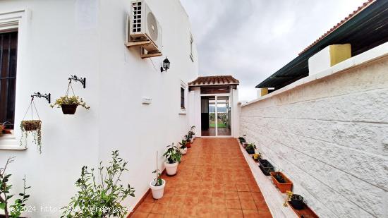 VIVIENDA PAREADA EN SANTA ROSA EN PERIODO DE PUJAS AL ALZA HASTA EL 19/11/24 - CADIZ