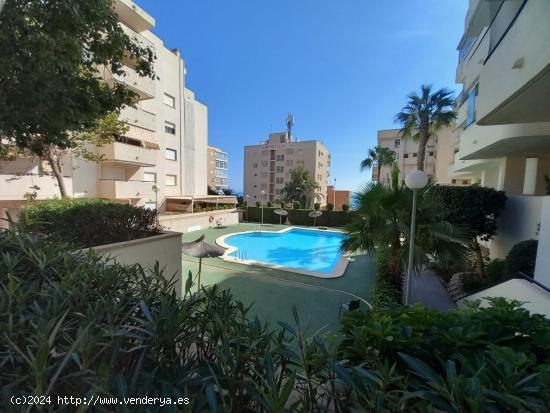  ¿Quieres vivir en una bonita planta baja cerca del mar? - ALICANTE 