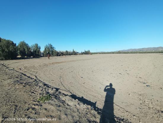 Terreno rural de 11.000 m2 en el salar - MURCIA