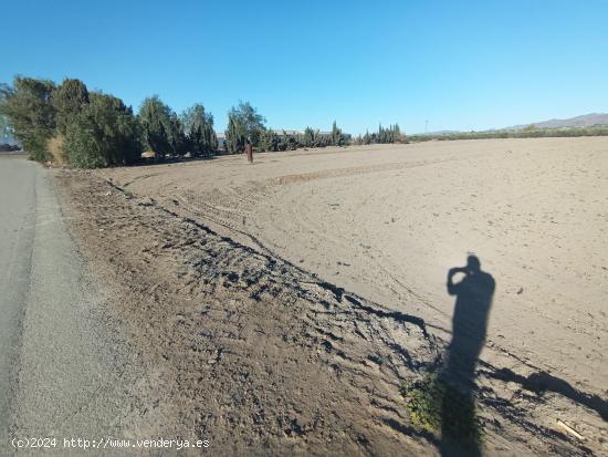 Terreno rural de 11.000 m2 en el salar - MURCIA