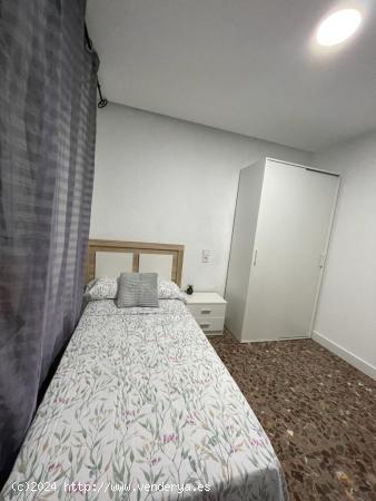 SE ALQUILAN HABITACIONES INDIVIDUALES  EN ELCHE (ALICANTE), CLAUDIA 633097354 - ALICANTE