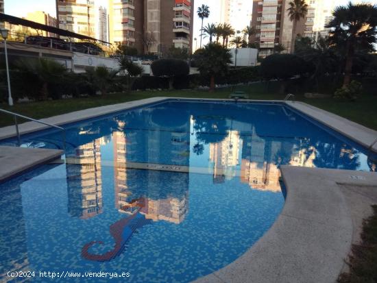 Alquiler en el centro de Benidorm - ALICANTE