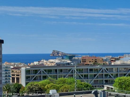  Hermoso apartamento de 3 dormitorios en Benidorm - ALICANTE 