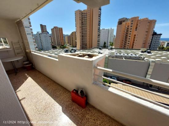 Hermoso apartamento de 3 dormitorios en Benidorm - ALICANTE