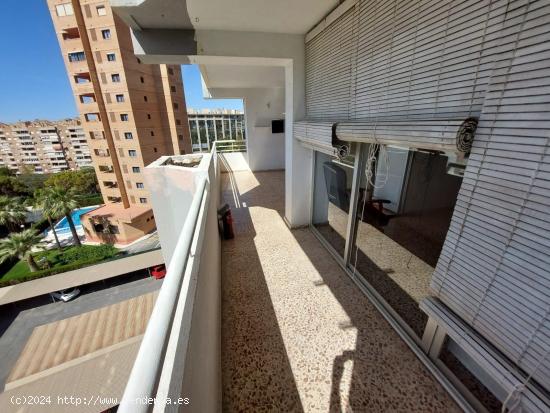 Hermoso apartamento de 3 dormitorios en Benidorm - ALICANTE