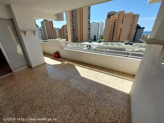 Hermoso apartamento de 3 dormitorios en Benidorm - ALICANTE