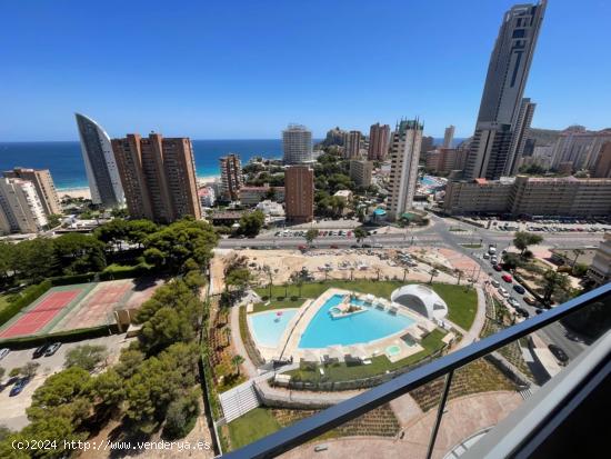  Apartment Benidorm Beach - ALICANTE 