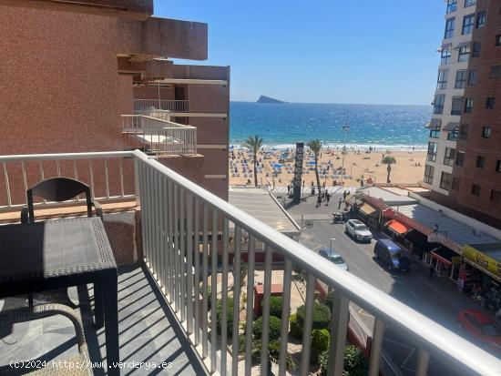  Apartamento de 3 dormitorios en alquiler con vistas al mar - ALICANTE 