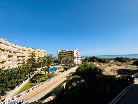  Apartamento en venta en Torrevieja (Alicante) 