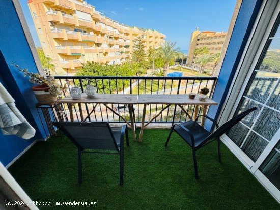 Apartamento en venta en Torrevieja (Alicante)