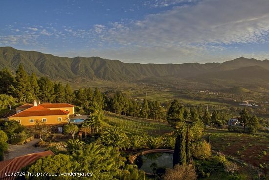 Villa en venta en El Paso (Tenerife)