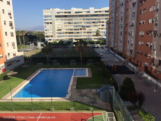  Apartamento en venta en Alicante (Alicante) 