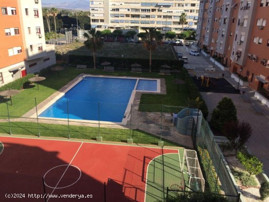 Apartamento en venta en Alicante (Alicante)