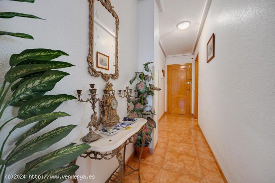 Apartamento en venta en Torrevieja (Alicante)