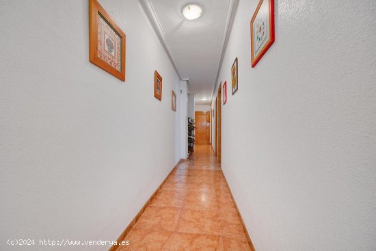 Apartamento en venta en Torrevieja (Alicante)