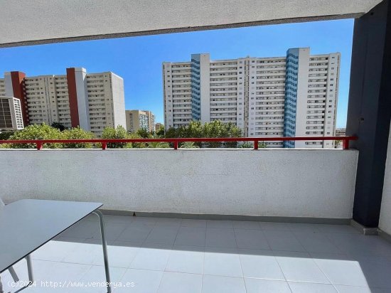 Apartamento en venta en Benidorm (Alicante)