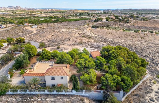 Villa en venta en Alicante (Alicante)