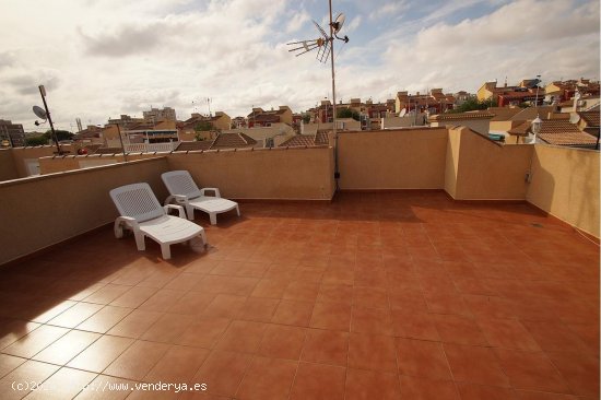 Chalet en venta en Torrevieja (Alicante)