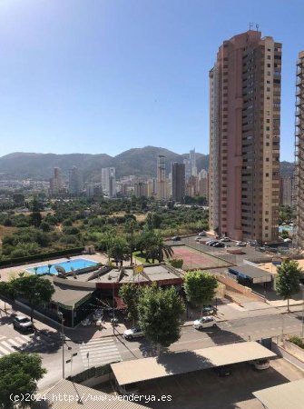  Apartamento en venta en Benidorm (Alicante) 