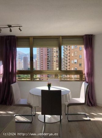 Apartamento en venta en Benidorm (Alicante)