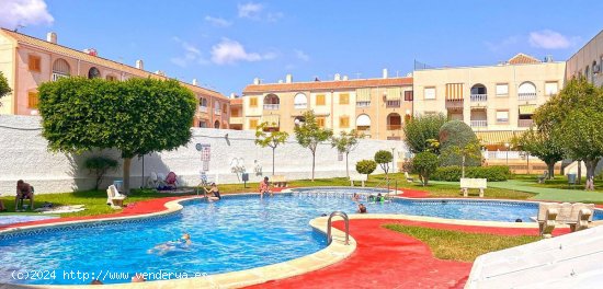 Apartamento en venta en Torrevieja (Alicante)