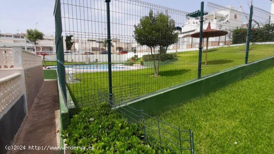 Chalet en venta en Torrevieja (Alicante)