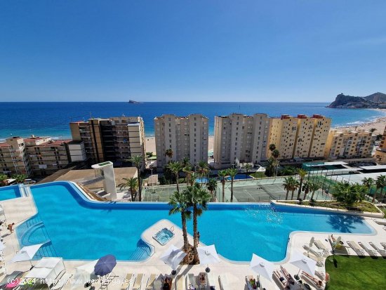  Apartamento en venta en Benidorm (Alicante) 