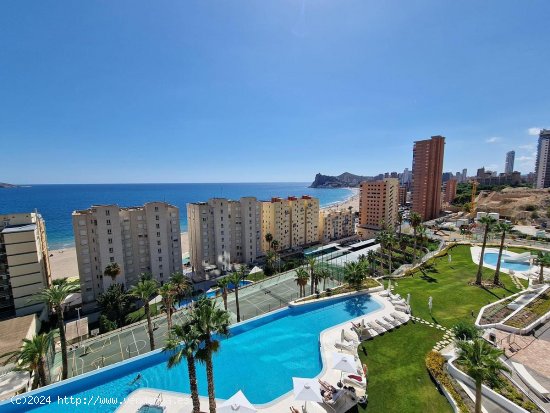 Apartamento en venta en Benidorm (Alicante)