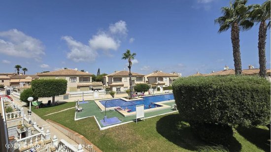  Chalet en venta en Torrevieja (Alicante) 