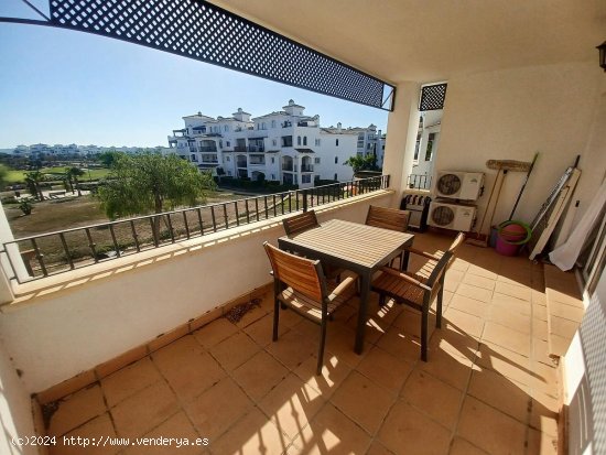 Apartamento en venta en Murcia (Murcia)