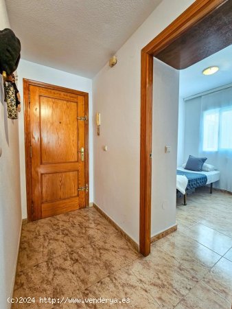 Apartamento en venta en Torrevieja (Alicante)