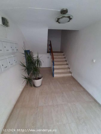 Apartamento en venta en Torrevieja (Alicante)