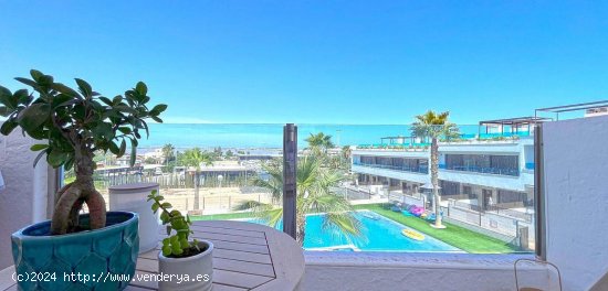 Chalet en venta en Torrevieja (Alicante)