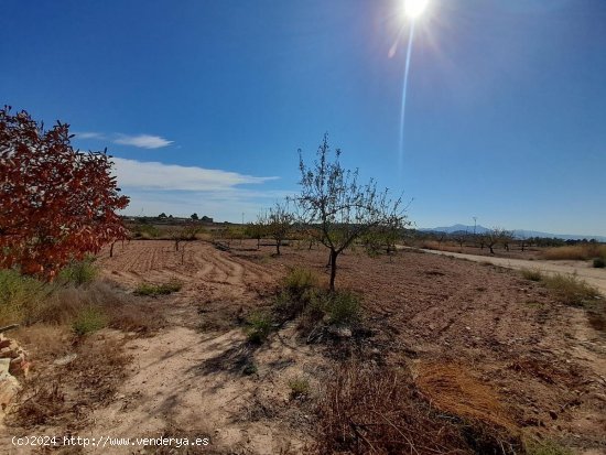 Casa en venta en Pinoso (Alicante)