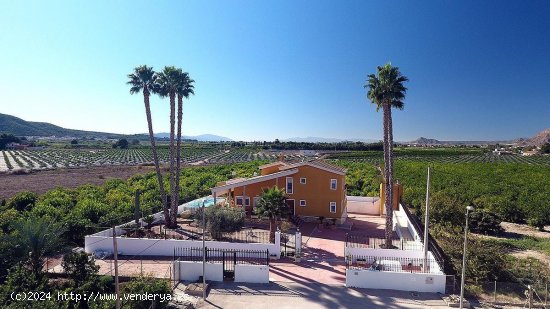  Casa en venta en Orihuela (Alicante) 