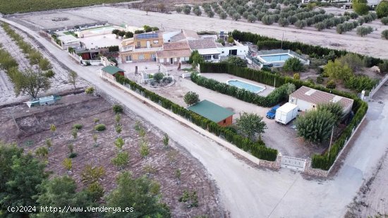 Villa en venta en Villena (Alicante)