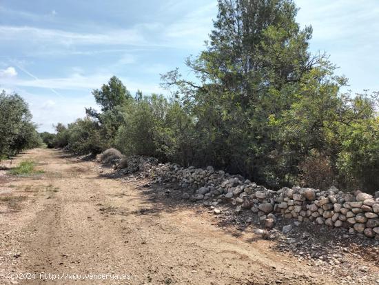 FINCA RÚSTICA CON POZO DE AGUA - TARRAGONA