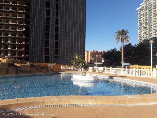 Apartamento en venta en Benidorm (Alicante)