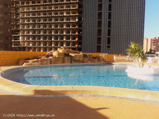 Apartamento en venta en Benidorm (Alicante)