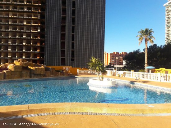 Apartamento en venta en Benidorm (Alicante)