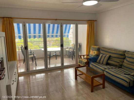 Alquiler de apartamento amplio en Playa de la Cura – Exclusivo para profesores - ALICANTE