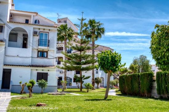  DUPLEX REFORMADO CON 1 DORMITORIOS EN TORREVIEJA (ALICANTE) CERCA DEL MAR - ALICANTE 