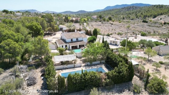 Villa en venta en Hondón de las Nieves (Alicante)