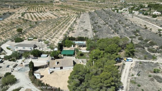 Villa en venta en Hondón de las Nieves (Alicante)