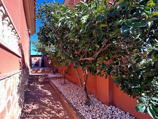 Casa en venta en Torrevieja (Alicante)