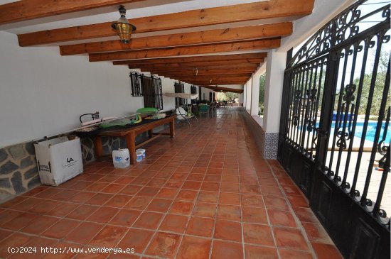 Villa en venta en Sax (Alicante)