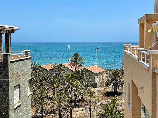  Apartamento en venta en Torrevieja (Alicante) 